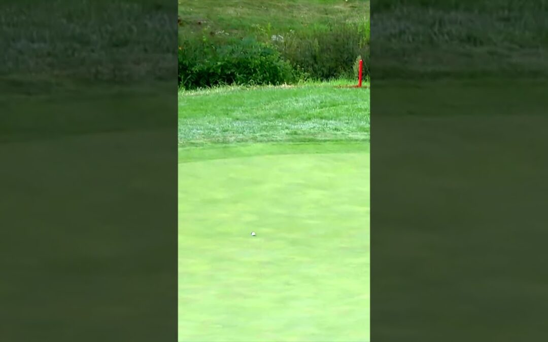 Nelly Korda with the PERFECT eagle setup 🔥