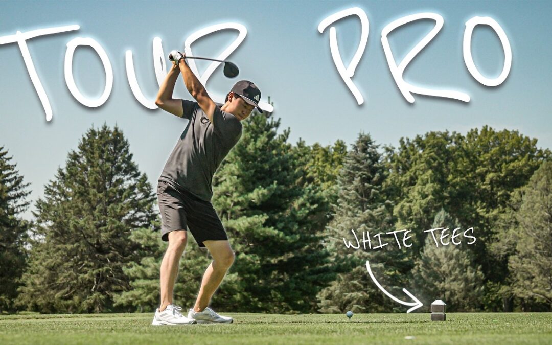 TOUR Pro vs Public Golf Course (TOO EASY?)